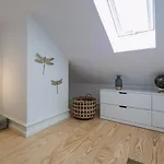 Apartament Nomad's Augusta Collection - Comfort